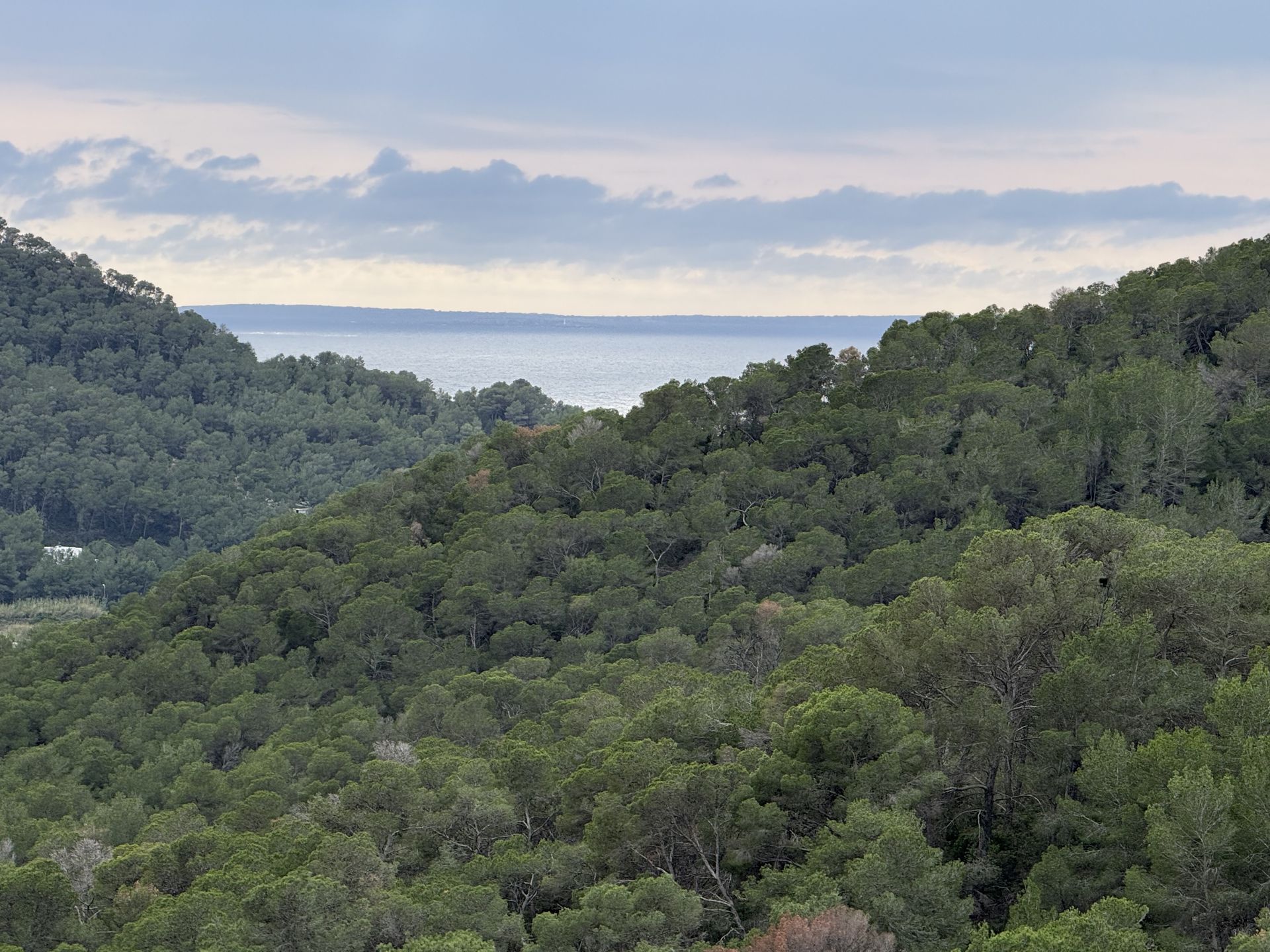 Atico con solarium privado en Valverde urbanizacion