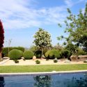 thumbnail_27 PISCINA 5, POOL 5
